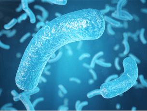 误解微生物——不洁恐惧症